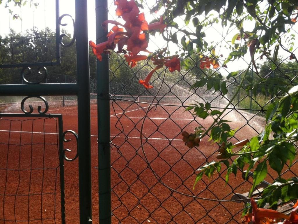 Villa In Funtana With Private Tenniscourt Exterior photo
